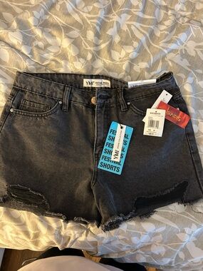 YMI Black Distressed Festival Jean Shorts